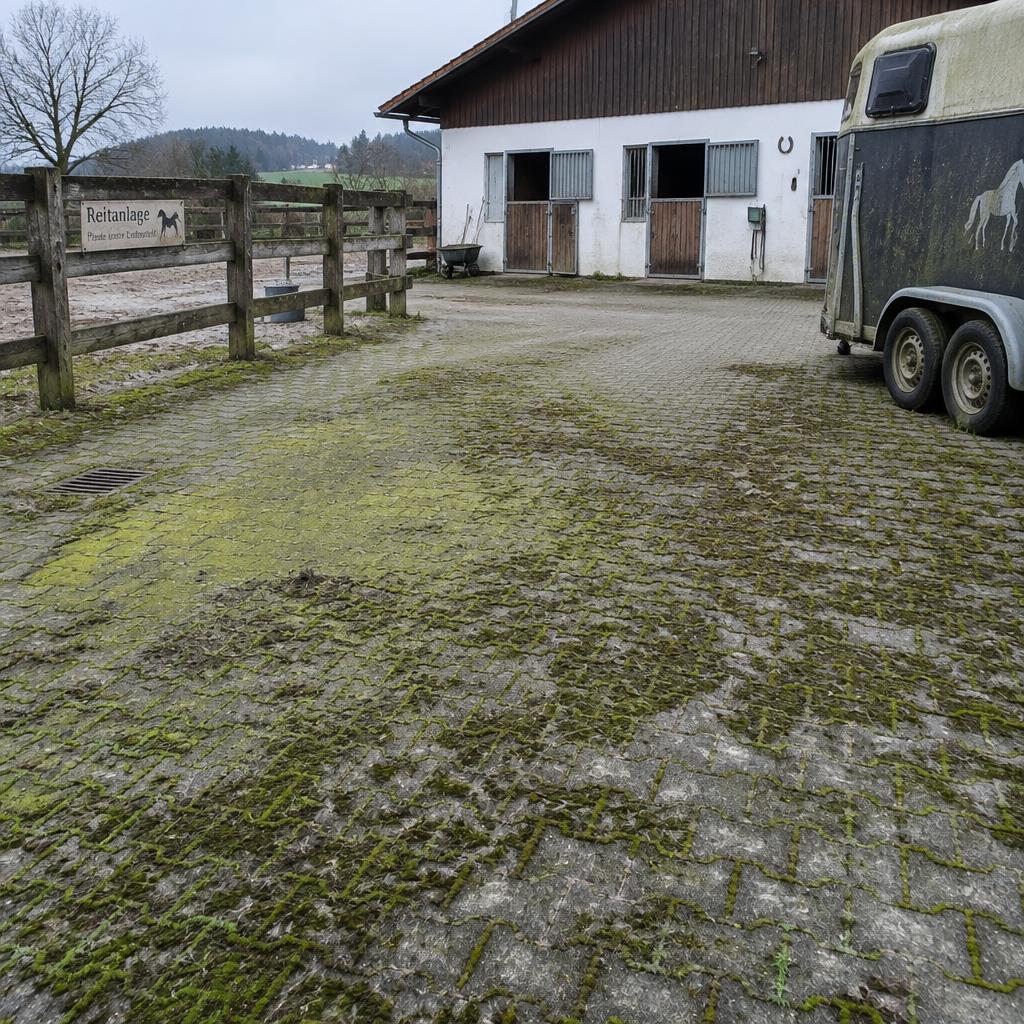 Reitanlage – Hof & Zufahrt vor der Reinigung