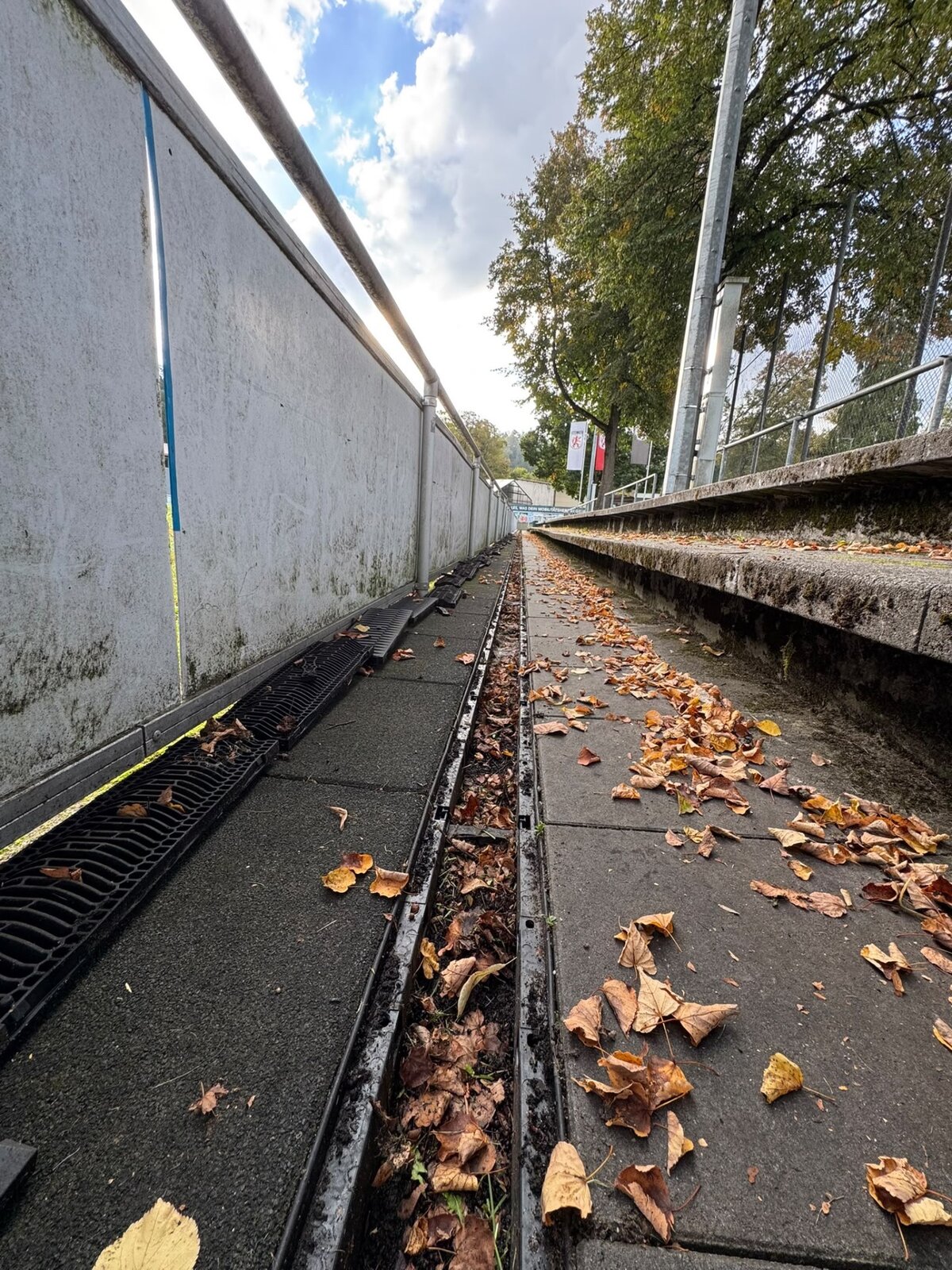 Tribüne – Laub & Belag vor der Reinigung